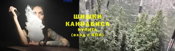 винт Аркадак